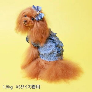 yGODPIVAztWtuEXmSbhson  hbOEFA  킢 t VM[n 