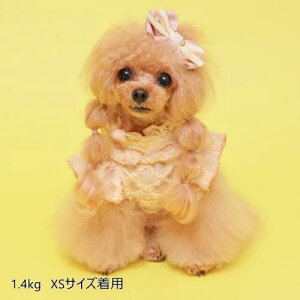 yGODPIVAztWtuEXmSbhson  hbOEFA  킢 t VM[n 