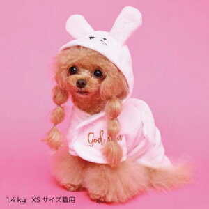 yGODPIVAzAj}oX[umSbhsonp oX[u C ^IhC z  }CNt@Co[f