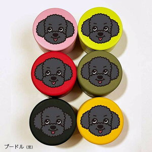 yDEOEGzDOGv`ʃP[X v[h 56F [fB[EI[EW[] p   e v[g vP[X