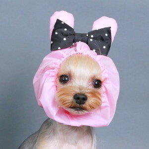 yGODPIVAzAj}CXk[h mSbhsonp V[ Xk[h  h~ H 6 3TCY