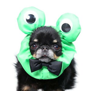 yGODPIVAzAj}CXk[h mSbhsonp V[ Xk[h  h~ H 6 3TCY