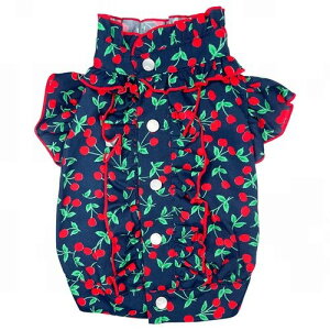 yGODPIVAzڃtuEXmSbhson  hbOEFA gbvX Vc o[dl K[[