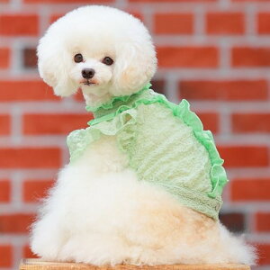 yGODPIVAzt[ctuEXmSbhson  hbOEFA Vc VH ̐n  tF~j K[[