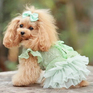 yGODPIVAzt[cts[XmSbhson  hbOEFA VH ̐n  tF~j K[[