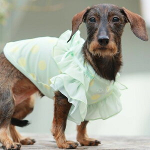 yGODPIVAzCOOLpXehbg^NgbvmSbhson  hbOEFA VtHn t H hH