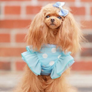 yGODPIVAzCOOLpXehbg^NgbvmSbhson  hbOEFA VtHn t H hH