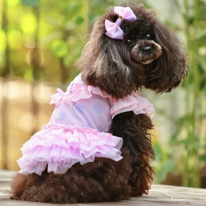 yGODPIVAzCOOLpXehbgs[XmSbhson  hbOEFA VtHn t H hH