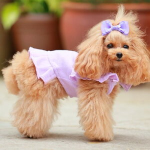 yGODPIVAzorganic cotton XJbvs[XmSbhson  hbOEFA I[KjbNRbg { I[V[Y ۉ ʋC