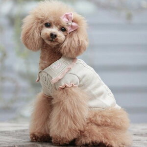 yGODPIVAzorganic cotton n[gjbgmSbhson  hbOEFA I[KjbNRbg { D hJ