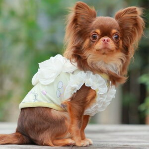 yGODPIVAzCOOLjR[{^NgbvmSbhson  hbOEFA pXeJ[ VtH `[ H hH