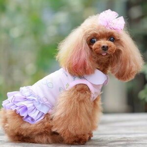 yGODPIVAzCOOLjR[s[XmSbhson  hbOEFA pXeJ[ VtH `[ H hH