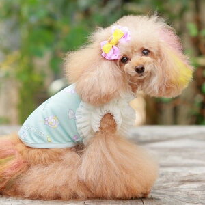 yGODPIVAzCOOLLfBPOP^NgbvmSbhson  hbOEFA pXeJ[ `[ H hH