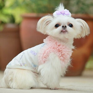 yGODPIVAzCOOLLfBPOP^NgbvmSbhson  hbOEFA pXeJ[ `[ H hH