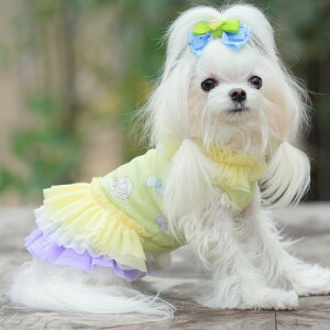 yGODPIVAzCOOLLfBPOPs[XmSbhson  hbOEFA pXeJ[ `[ H hH