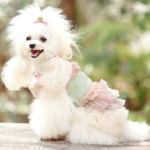 yGODPIVAzX^[`[ts[XmSbhson  hbOEFA s pXeJ[  COOLn hH