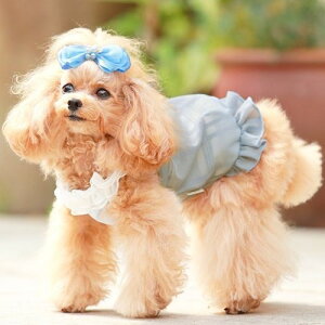 yGODPIVAzCOOL`FbNo[^NmSbhson  hbOEFA ^Ngbv `FbN COOLn hH