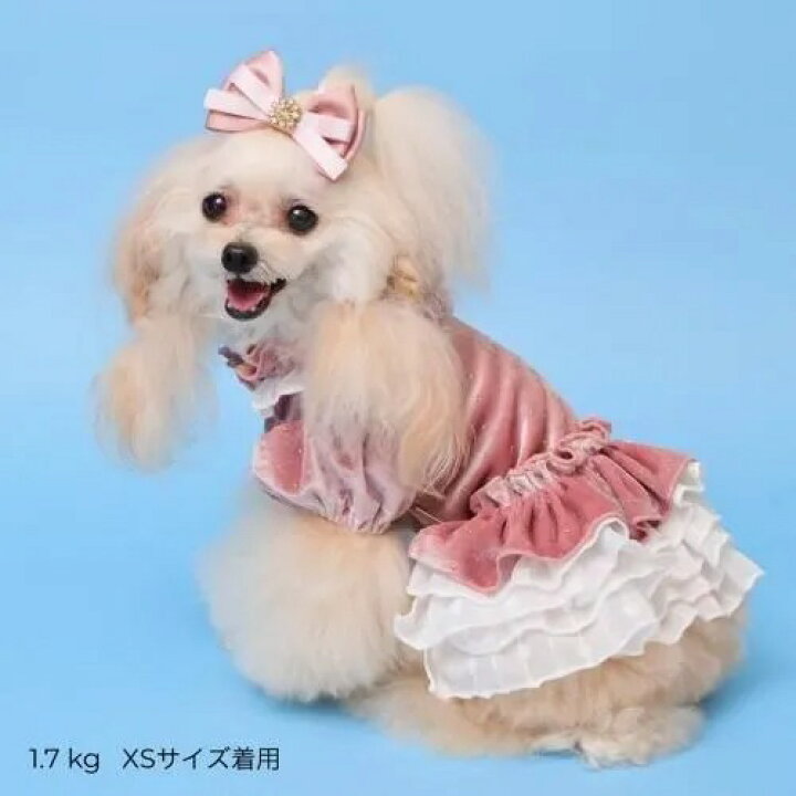 楽天市場】【GODPIVA】ドットプリマワンピース［ゴッドピバ］犬用 服 