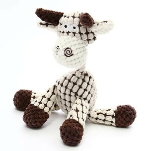 yROOPz[vtfB fCW[ p  ʂ Aj} |R|R n