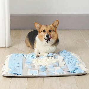 yM-PETSzGybc STRATEGEXibt}bg XNGA p  m[Y[N mgC tFgf ~߉Hn