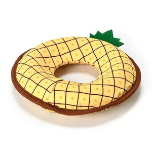 ySolgraz\O VуO pC p  ɕ J pCibv ^ ^