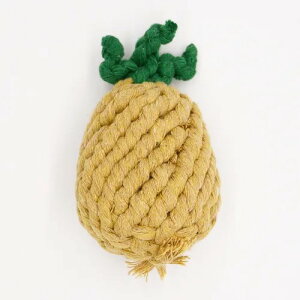 ySolgraz\O ʂ˂[vgC p  [v 킢