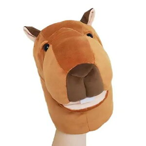 yBesteverzxXgGo[ nhpybg Jso p  pybg ʂ R~jP[VgC