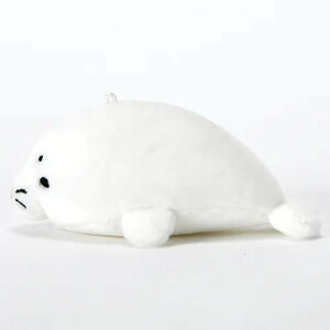 ySolgraz\O 낱AUV p  ʂ s[s[ KTKT d| ANAEV[Y