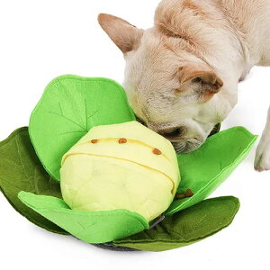 yL'angezTToy LxcmWnp  mgC m[Y[N XgX g[jO