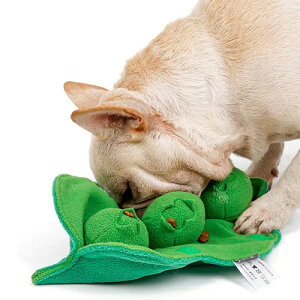 yL'angezTToy r[mWnp  mgC m[Y[N XgX g[jO