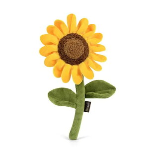 yP.L.A.Y.zvC u[~OofB[Y Tt[ p  ʂ  v xA @