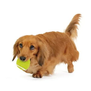 yFADzt@bh nhChEjbggC ejX{[mdad-wayi_bhEFCjn p  ΂̒\h XNC[J[