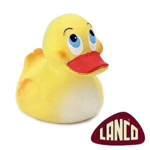 yLancozR W{_bL[ / CG[mdad-wayi_bhEFCjnp  ebNX  XyC Hp