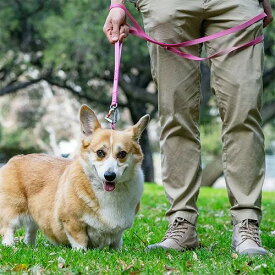 【sleepypod】Power Leash / スリーピーポッド パワーリーシュ 犬用 ＜全4色＞ 犬用 リード 短く持てる Dカン 軽量 強度