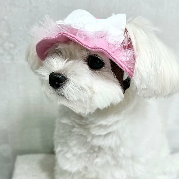 楽天市場】日本製 犬 帽子 リボンハット 小型犬 春夏 紫外線対策 脱げ おぶ紐