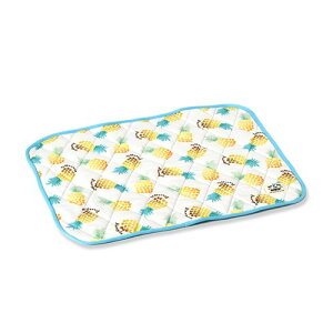  ybg p}bg ~ Ђ  pCN[ }bg pbg  킢  Q Solgra \O