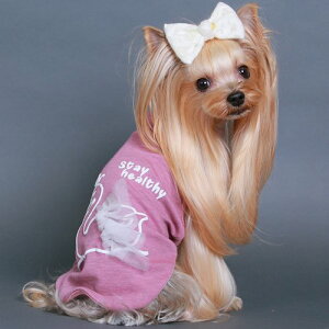 yGODPIVA SbhsozewcX^NTCYFXXS-L /2F   hbOEFA ^Ngbv Lk Nێ