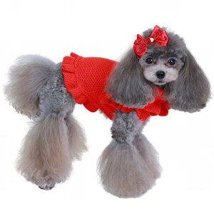 yGODPIVAzLLmGob^mSbhsonp wA ANZT[ ڂ p[eB[V[Y т܂ɂ ؂ɂ