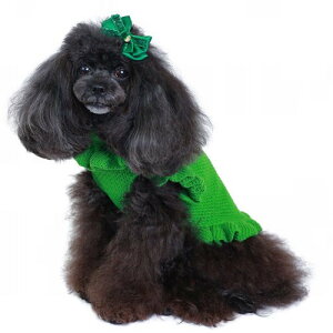 yGODPIVAzLLmGob^mSbhsonp wA ANZT[ ڂ p[eB[V[Y т܂ɂ ؂ɂ