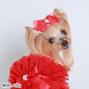 yGODPIVAzI[KW[rW[ob^mSbhson p wA ANZT[ 킢 ؂₩ т܂ɂ ؂ɂ