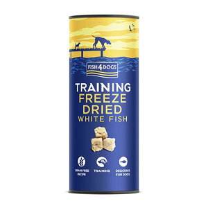 yFISH4DOGSztBbVtH[hbO t[YhC g[c p  J mEF[Y I[VzCgtBbV TCY