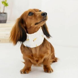 【Solgra】ソルグラ　アイス柄クールネック 犬 首 春 夏 散歩 快適 ひんやり 冷感 保冷剤付 サイズ調整可能 クーリング生地 かわいい おしゃれ きなり