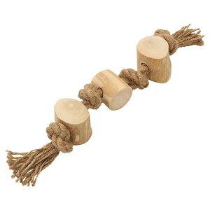 yROOPz[v JtFEbh gv p  oPA  F 100i`f R[q[mL