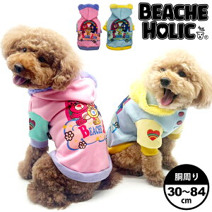 yzz ̕ hbOEFA  킢 @H~ N ^ ^ ^ BEACHE HOLIC r[`FzbN 2024NH~ׁ[NxAp[J[