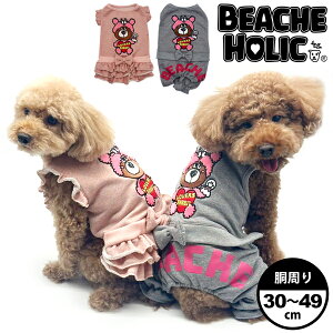 yzz ̕ hbOEFA  킢 @H~ t[X ^ ^ ^ BEACHE HOLIC r[`FzbN 2024NH~rbgׁ[NȂEs[X