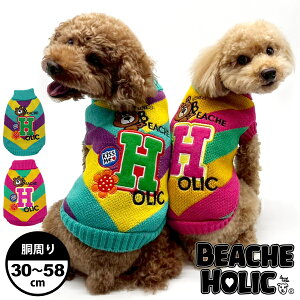  ̕ hbOEFA  킢 @H~ nClbN ^[g ^ ^ BEACHE HOLIC r[`FzbN 2025-2026NH~ Jtgjbg