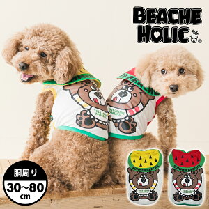 2025NtČ  hbOEFA ^ ^ ^  ⊴   ^N K ( CG[ / bh ) gCv[h ` t`u BEACHE HOLIC r[`FzbN XCJx[N