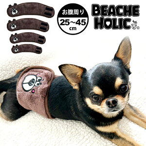 2025NtČ  hbOEFA ^ ^ }i[ACe   K ( CG[ / bh ) gCv[h ` t`u _bNX BEACHE HOLIC r[`FzbN x[N}i[x