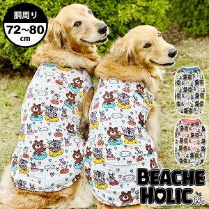   hbOEFA 2025N t ^  ⊴   ^N K ( sN / u[ ) S[fgo[@X^_[hv[h uh[ BEACHE HOLIC r[`FzbN 