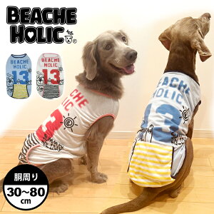 BEACHE HOLIC r[`FzbN BEACHEx[N^Ngbv   hbOEFA 2025N t ^TCY  ⊴ Lk ₷   ^N K AC{[ u[ S[f